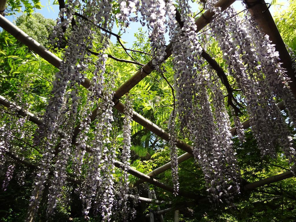 Hotel Akigawakeikoku Kinkoukaku Akiruno Exterior foto